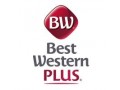 Details : Best Western Plus Antel Hotel  in Metro Manila - Book a  hotel near A.Venue